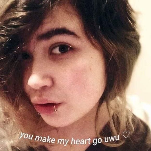 Meet your Posher, Leo - Picture 1 of 1